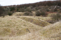 
Lascarn Quarry tips, March 2009